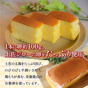 【ふるさと納税】＜シフォンケーキ 3本＞ 土佐ジローの卵100％ 地鶏の卵使用【冷蔵】有精卵 平飼い 放し飼い ポストハーベスト農薬フリー（PHF ）飼料 非遺伝子組み換え飼料 使用 ブランド卵 高知県 もちおのしっぽ