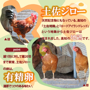 【ふるさと納税】＜土佐ジローの卵　25個＞ 高知県 佐川町 もちおのしっぽ【冷蔵】有精卵 平飼い 放し飼い ポストハーベスト農薬フリー（PHF ）飼料 非遺伝子組み換え飼料 使用 ブランド卵