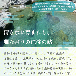 【14-28尾】有名料亭も絶賛！鮎屋仁淀川の仁淀ブルー友釣り天然鮎1㎏【2025年6月アユ漁解禁後発送】
