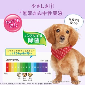 キミおもい 肌にやさしい ウエットティシュー ノンアルコール 除菌 60枚×3P 犬 猫 ペット ふき取り 無添加 アルコールフリー パラベンフリー 着色料不使用 無香料 富士市 [sf006-006]