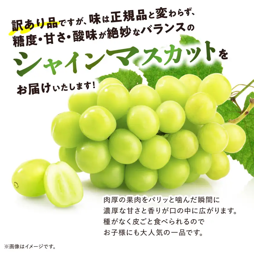【訳あり】 池田青果のシャインマスカット2房～3房　1kg ふるさと納税【配送不可地域：離島】【1544089】