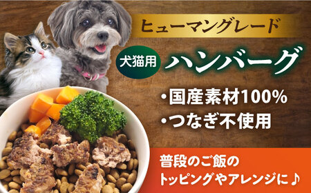 【全6回定期便】ペットフード 三崎マグロ 100%ハンバーグ 10個セット ペット 犬 猫 手作り 国産 てづくり こだわり まぐろ ドッグフード  ドッグフード ペットフード 横須賀 【ペットフードYM japan】 [AKEX004]