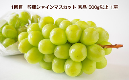 【定期便3回】やまがた冬の果物 満喫便 FY24-300