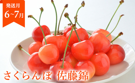 【定期便3回】山形まるごと！人気のくだものベスト3 FZ25-959