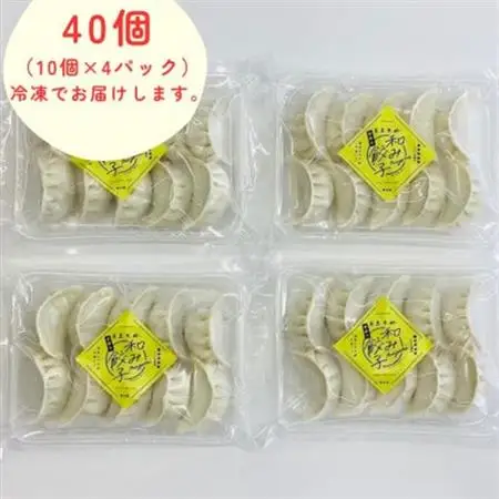 【岩泉黒豚 和み餃子】岩手県岩泉町産 龍泉洞黒豚使用の手包み餃子 40個_惣菜・加工品 餃子  ぎょうざ ギョウザ_【配送不可地域：離島】【1540571】