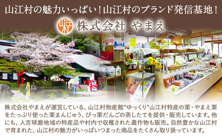 米 熊本県山江村産 ほたる米 10kg 5kg × 2袋 株式会社 やまえ《30日以内に出荷予定(土日祝除く)》熊本県 球磨郡 山江村 米 ほたる米 こめ コメ 令和7年産  st-p