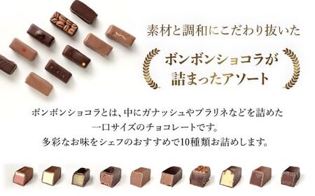 洋菓子マウンテン コレクション (ショコラアソート10種・10個) ふるさと納税 福知山市 スイーツ 洋菓子 チョコレート ショコラ ショコラティエ ボンボンショコラ ガナッシュ プラリネ 一口サイズ 10個入 ギフト プレゼント 【fc-EA002】【ショコラナビ】