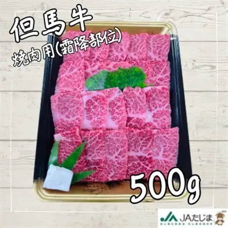 但馬牛　焼き肉用(霜降り部位　500g)【配送不可地域：離島】【1072500】