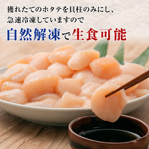 【枝幸ほたて】冷凍ほたて貝柱1kg 3Sサイズ 枝幸水産加工業協同組合【 冷凍 貝柱 刺身 大 魚介 海 帆立 北海道 オホーツク 枝幸 】