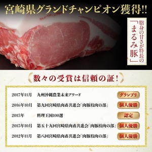 宮崎県産豚肉「まるみ豚」ウデブロック計4.5kg以上 豚肉