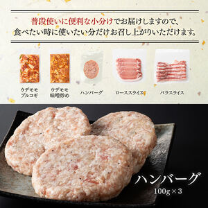 豚肉 「まるみ豚」宮崎県産豚肉 人気セット 計1.1kg 豚肉