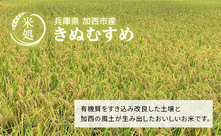 お米 定期便 きぬむすめ 白米 6kg(3kg×2袋) 3ヶ月連続お届け 米 単一原料米 精米 ごはん ご飯 白飯 小分け