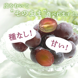 ゴールデンベリーA 約2kg 3～5房 【2026年産 予約受付】 ぶどう ブドウ 葡萄 お取り寄せ フルーツ 果物 種なし 甘い おすすめ 美味しい 選果場直送 送料無料 ギフト 贈答 兵庫県