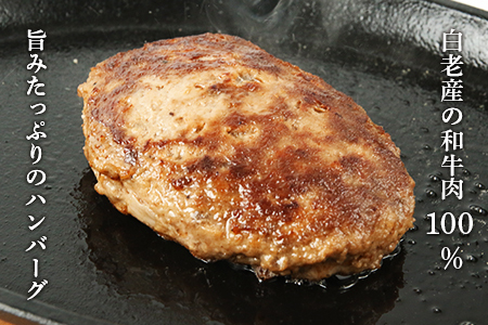 黒毛和種和牛ハンバーグ(白老産)　120g×5枚　計600g