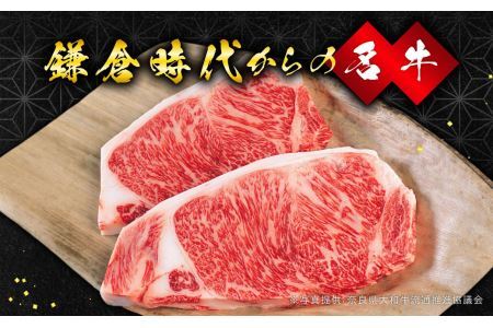 大和牛ヒレステーキ用 160g×3枚 大和牛専門店 一 ステーキ ヒレ ヘレ 黒毛和牛 和牛 牛肉 31-001