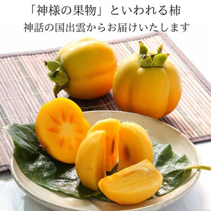【柿専業の農家が作る】出雲産西条柿　5kg