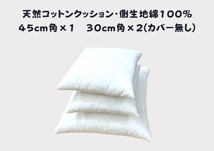寝室やリビングをおしゃれに飾るベッドクッション（無地、カバーなし）【CW123W】