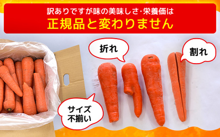 春にんじん 訳あり 有機JAS認証 特別栽培にんじん 10kg　SMF002