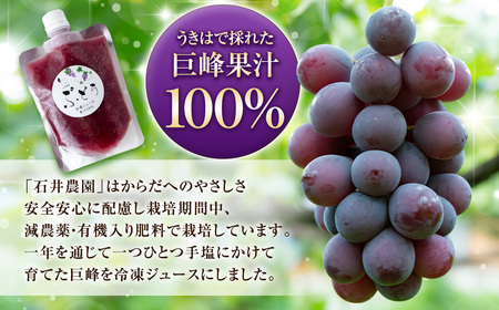 石井農園 冷凍ぶどうジュース 150ml × 5本セット