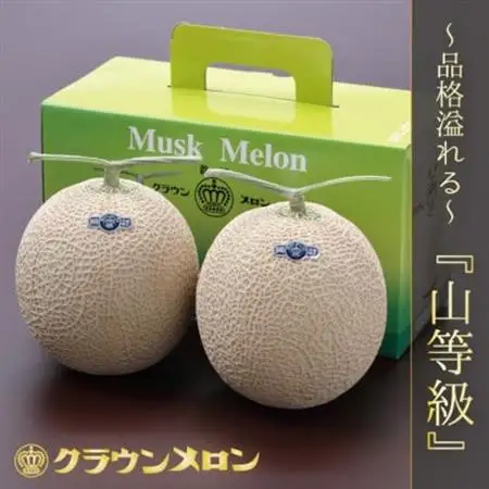 【一年中食べられる!】クラウンメロン (山等級) 2玉 静岡県産 高級 マスクメロン【配送不可地域：離島・北海道・沖縄県】【1104736】
