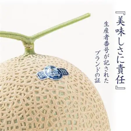 【通年出荷】アローマメロン 白等級(大玉) 2玉入【配送不可地域：離島・北海道・沖縄県】【1170111】