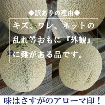 【訳あり】アローマメロン 1玉入【通年出荷】【配送不可地域：離島・北海道・沖縄県】【1170117】