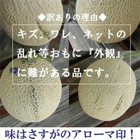 【毎月定期便】【訳あり】アローマメロン 1玉 全12回【配送不可地域：離島・北海道・沖縄県】【4013172】