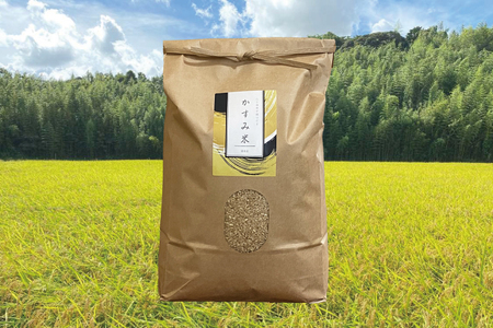 【茨城県共通返礼品・潮来市産】令和7年産米 栽培期間出来るだけ農薬を減らして作る「かすみ米」（コシヒカリ）玄米5kg 【げんまい 減農薬 こしひかり おいしい おこめ 安心 安全 健康】（KBE-108）