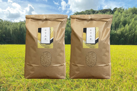 【茨城県共通返礼品・潮来市産】令和7年産米　栽培期間出来るだけ農薬を減らして作る「かすみ米」（コシヒカリ）玄米10kg 【げんまい 減農薬 こしひかり おいしい おこめ 安心 安全 健康】（KBE-110）
