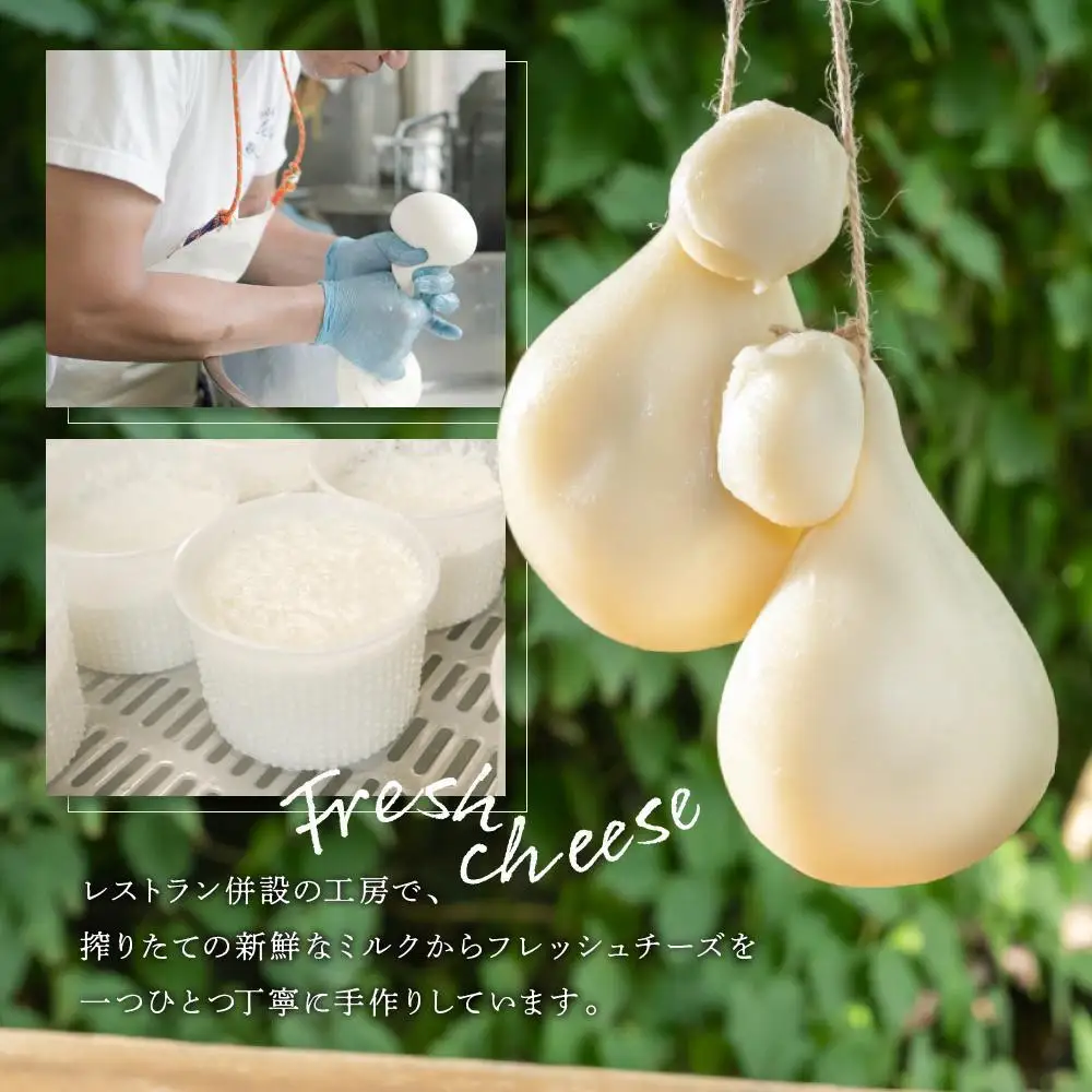 ジャパンチーズアワード受賞チーズセット ＋ マスカルポーネチーズ