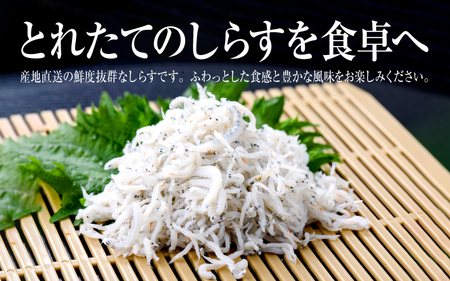 釜揚げ しらす 2kg 兵庫県産 /  しらす