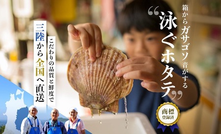 【泳ぐほたて】殻付き活ホタテ特大サイズ5枚 刺身 魚介 帆立