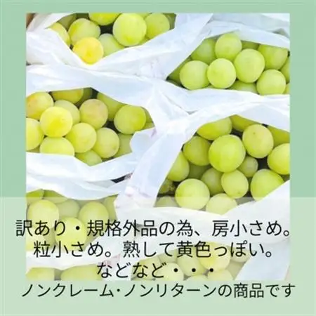 【2026年発送】山梨・萩原フルーツ農園の訳ありシャインマスカット(規格外 約2kg)【配送不可地域：離島】【1544663】