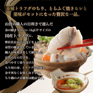 とらふぐ ちり 鍋 焼き塩造り セット とらふぐちり 500g 焼き塩造り 55g×2 ふぐ 贈り物 ふぐ鍋 鍋 農林水産省大臣賞受賞 トラフグ 山賀 下関 山口 AS158