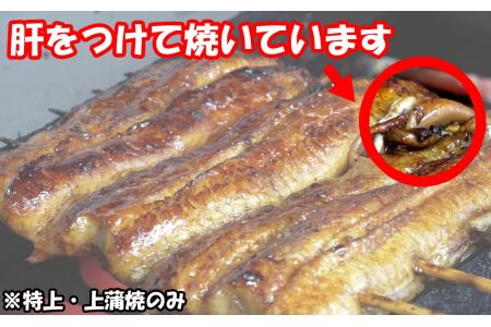 うなぎ 鰻 上 蒲焼 150g 2枚 計300g 冷蔵 肝 山椒 付き 真空パック 鰻 うなぎ
