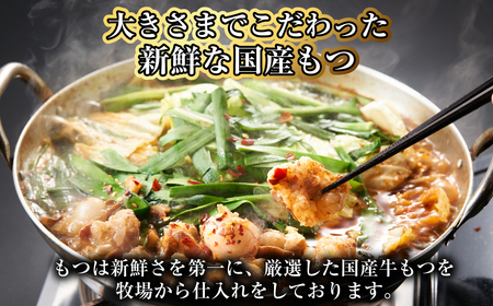 【20営業日以内発送】【もつ鍋+炎のもつ鍋】国産牛 長崎 もつ鍋 セット （ 醤油味+辛みそ付醤油味 ） 細麺付 各2～3人前 2種類 モツ鍋 和牛モツ 国産もつ 鍋 もつ鍋居酒屋ばか正直 長崎