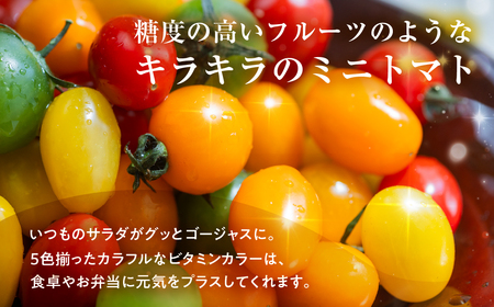 ≪今が旬！≫フルーツトマト あまえぎみ 約1kg ≪5色ミックス≫トマト
