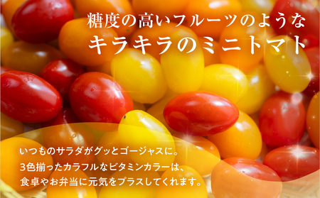 ≪今が旬！≫フルーツトマト あまえぎみ 約1kg ≪3色ミックス≫トマト