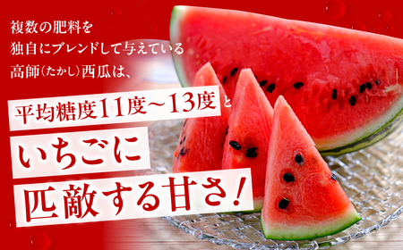 天伯スイカ 1玉 10kg 5L 糖度11 すいか