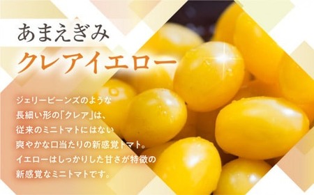 ≪今が旬≫フルーツトマト あまえぎみ 約1kg ≪クレアイエロー≫トマト