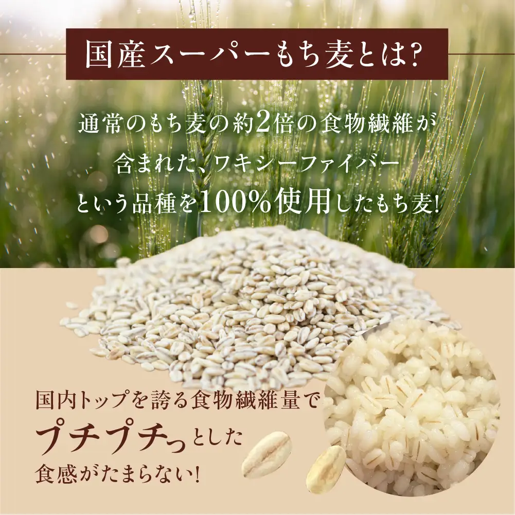 豊橋産スーパーもち麦 5kg もち麦　