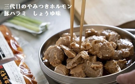 とよホル厳選 ホルモン6種&バーグ 豚肉