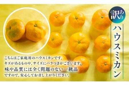 超濃厚ハウスみかん 3kg 家庭用 蜜ツ星 みかん