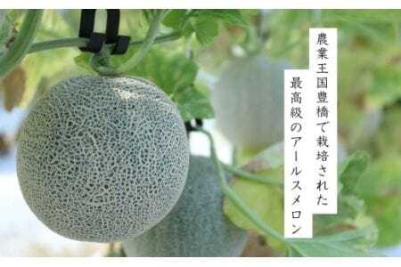 アールスメロン 2玉 1.8kg 糖度保証 メロン