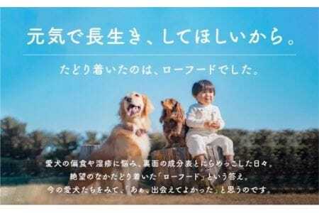 犬猫用手作りローフード（錦爽どりミックス500g+鹿骨ボーンブロス300ml）