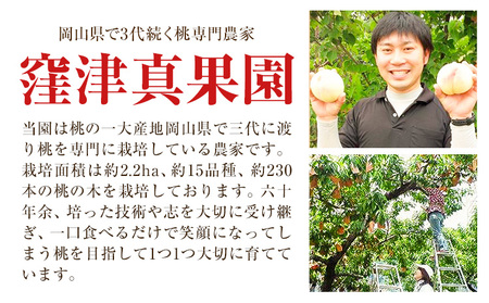 【2026年発送】桃 ご家庭用旬の桃  約750g 窪津真果園 