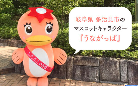 うながっぱティーセット ＆ コンパス紅茶セット 9 多治見市 /多治見市観光協会[TAQ005]