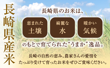 【令和7年産】無洗米 長崎 こしひかり 計5kg ( 2.5kg×2袋 )  ／ お米 米 ご飯 ごはん 小分け コメ 長崎県産 国産 九州 長崎県 長崎市 深堀米穀店