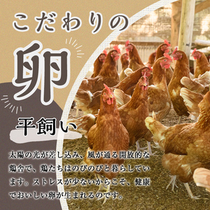 環の花 平飼い有精卵プリン 8個 スイーツ 国産 濃厚【プリン】【ho1392】