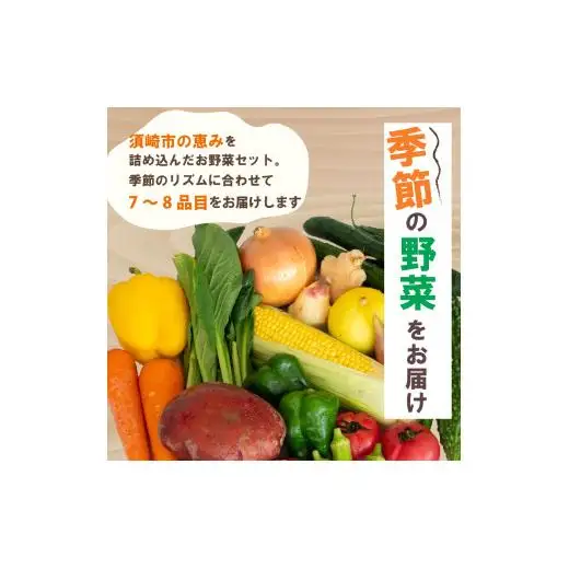 野菜定期便 7品~8品 6ヵ月 産地直送 朝採れ （ 7品 ～ 8品 野菜 セット 詰め合わせ 特産 季節 旬 新鮮 彩 ベジタブル 高知県 須崎市  ）NPO21000